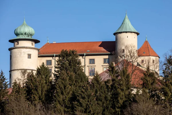 Ancien Château Médiéval Nowy Wisnicz Pologne — Photo