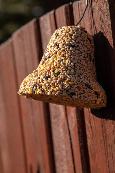 Sino Vários Grãos Uma Iguaria Para Todos Pássaros Jardim — Fotografia de Stock