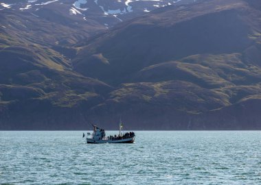 Husavik, İzlanda - 24 Temmuz 2017: Kambur Balina 'yı avlamak için Husavik' ten kalkan yolcularla birlikte tekneyi izleyen balina. İzlanda