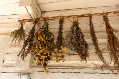 Bir kır evinin duvarında asılı duran kurutulmuş şifalı bitkiler.