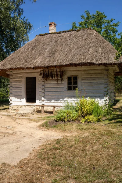 Wygiezlow Polen August 2020 Innenausstattung Des Schlosses Einer Wohlhabenden Adelsfamilie — Stockfoto