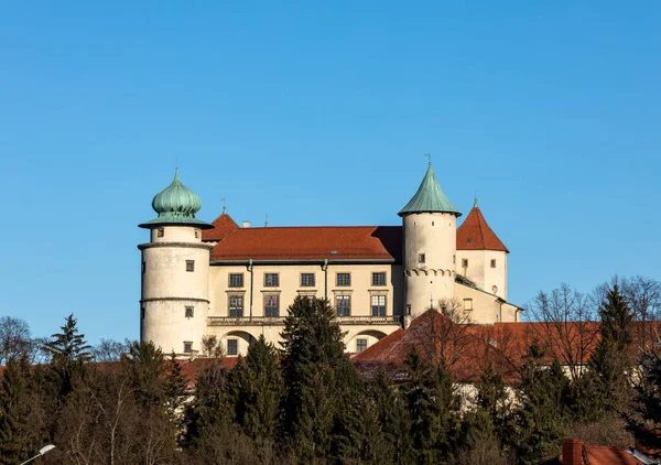 Ancien Château Médiéval Nowy Wisnicz Pologne — Photo