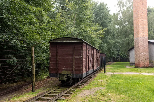 Sztutowo Polonia Septiembre 2020 Vagones Del Ferrocarril Vía Estrecha Para —  Fotos de Stock