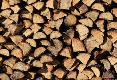  Kış için hazırlanmış odun yığını 