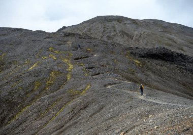 Fjallabak Doğa Rezervi 'ndeki Landmannalaugar volkanik dağları. İzlanda