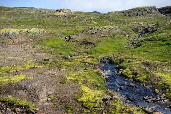 冰岛高地覆盖着苔藓的宏伟的火山景观 — 图库照片
