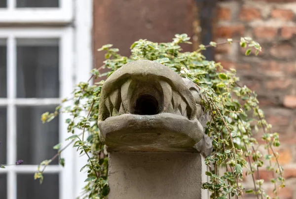 Mariacka Caddesi Ndeki Gargoyle Polonya Nın Eski Hanseatik Kenti Gdansk — Stok fotoğraf