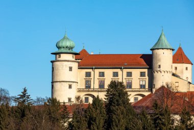 Nowy Wisnicz 'deki eski ortaçağ kalesi. Polonya