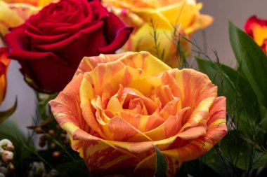 Güzel bir buket renkli gül.