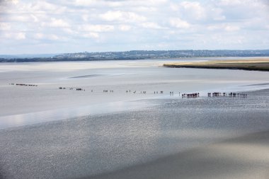 Koyda bir grup yürüyüşçü alçak gelgitte. Bilge bir rehberle körfezde yürüyüş yapmak. Mont Saint-Michel, Normandiya, Fransa 