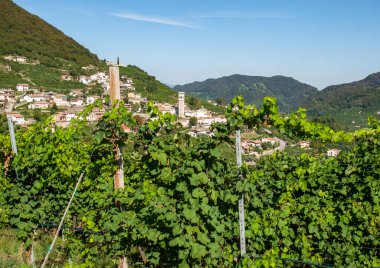 İtalya, Valdobbiadene 'de Prosecco' nun köpüren şarap bölgesinin üzüm bağlarıyla dolu resimli tepeler..