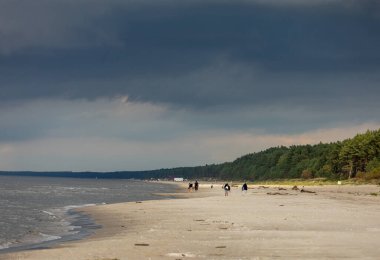 Stegna, Polonya - 4 Eylül 2020: Jantar ve Stegna arasındaki Vistula Spit üzerinde uzun yürüyüşler için harika bir plaj. Polonya
