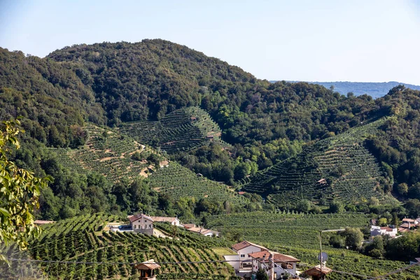 Picturesque Hills Vineyards Prosecco Sparkling Wine Region Santo Stefano Italy — Stock Photo, Image