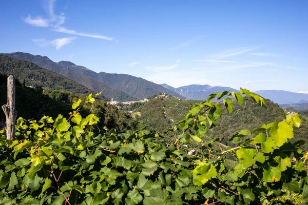 Malebné Kopce Vinicemi Oblasti Šumivého Vína Prosecco Guiettě Guii Itálie — Stock fotografie