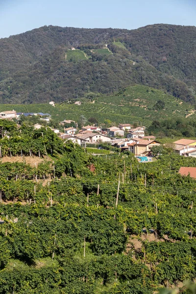 Pittoreske Heuvels Met Wijngaarden Van Prosecco Mousserende Wijnstreek Guietta Guia — Stockfoto