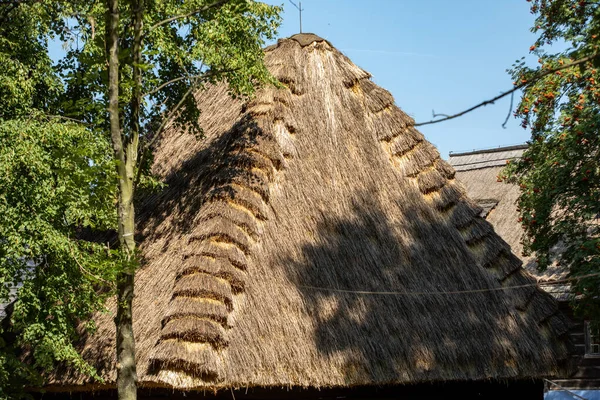 Detail Van Traditioneel Rieten Dak Van Stro Riet Zonnige Zomerdag — Stockfoto