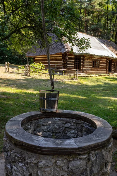 Gammal Träskugge Med Hink Trädgården — Stockfoto