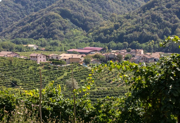 Malebné Kopce Vinicemi Oblasti Šumivého Vína Prosecco Mezi Valdobbiadene Conegliano — Stock fotografie