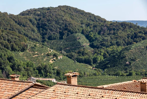 在圣斯蒂凡诺的普罗塞科的葡萄园中 风景如画的山丘闪烁着葡萄酒的光芒 意大利 — 图库照片