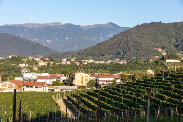 Schilderachtige Heuvels Met Wijngaarden Van Prosecco Mousserende Wijnstreek Valdobbiadene Italië — Stockfoto