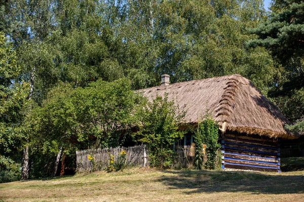 Wygiezlow Polska Sierpnia 2020 Drewniany Wiejski Domek Xix Wieku Parku — Zdjęcie stockowe