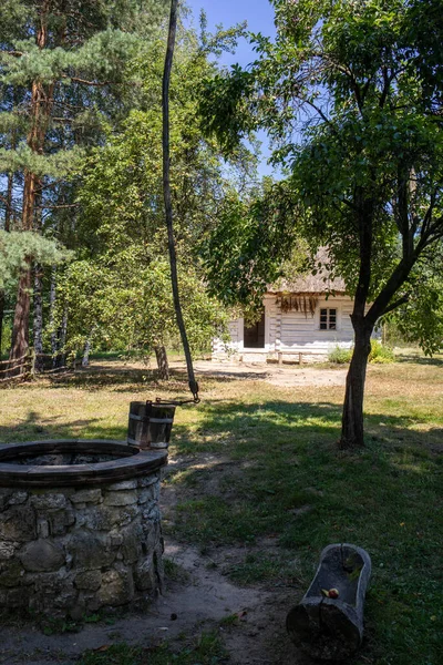 Старий Дерев Яний Шадоф Відром Саду — стокове фото