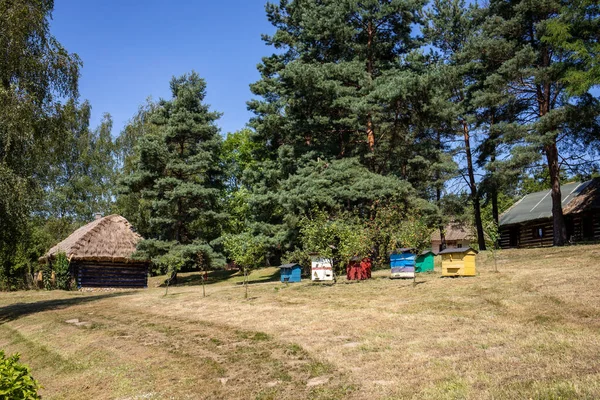 Ein Bienenhaus Mit Alten Bienenstöcken Einem Ländlichen Garten — Stockfoto