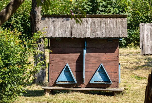 Ein Bienenhaus Mit Alten Bienenstöcken Einem Ländlichen Garten — Stockfoto