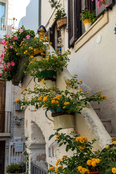 Polignano Mare Italia Septiembre 2019 Encantador Romántico Casco Antiguo Polignano —  Fotos de Stock