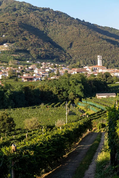 Malebné Kopce Vinicemi Oblasti Šumivého Vína Prosecco Valdobbiadene Itálie — Stock fotografie