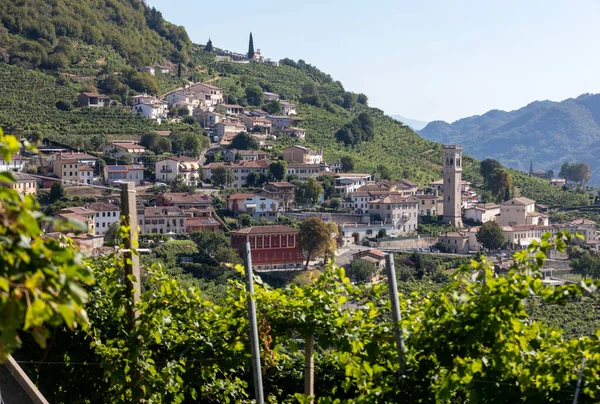 Colinas Pitorescas Com Vinhas Região Vinícola Espumante Prosecco Entre Valdobbiadene — Fotografia de Stock