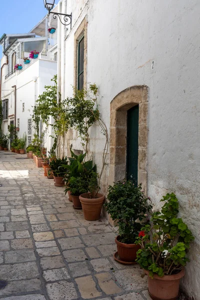 魅力的でロマンチックな歴史的な旧市街Polignano Mare Apulia 南イタリア — ストック写真