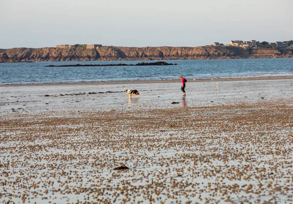 フランス サンマロ 2018年9月15日 犬を連れた女性がフランス ブルターニュ サンマロのビーチを歩いている — ストック写真