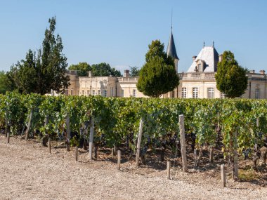 Margaux, Fransa - 11 Eylül 2018: Chateau Marojallia, Margaux, mükemmel şaraplar üretmek için bilinir. Bordeaux region, Fransa