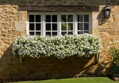 Penceresinde çiçek açan beyaz petunyaları olan güzel, eski bir taş ev. Dordogne, Fransa
