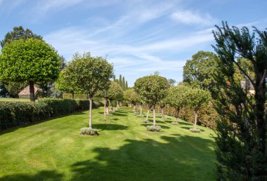 Dordogne 'daki güzel Jardins du Manoir d Eyrignac. Fransa 