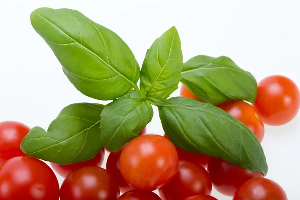 Fresh cherry tomatoes with basil, on white background Royalty Free Stock Images