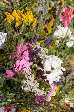 Güzel çiçek buketleri ve bitkiler