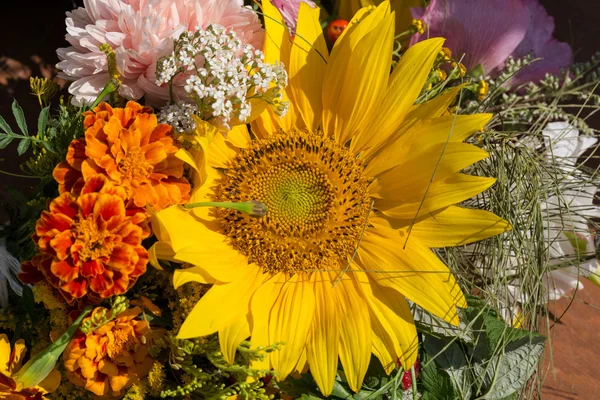 Beautiful bouquets of flowers and herbs — Stock Photo, Image