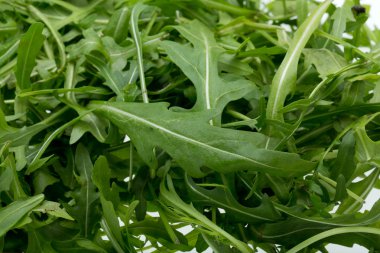 ruccola yaprak yığını