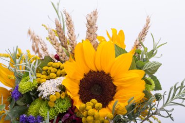 Güzel çiçek buketleri ve bitkiler