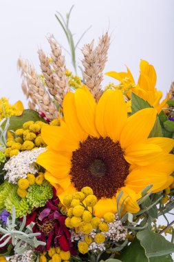 Güzel çiçek buketleri ve bitkiler