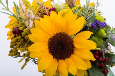 Güzel çiçek buketleri ve bitkiler