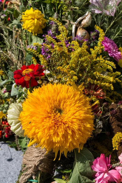 फुलं आणि वनस्पतींचे सुंदर पुष्पगुच्छ — स्टॉक फोटो, इमेज