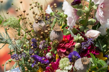 Güzel çiçek buketleri ve bitkiler
