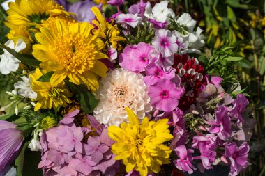 Güzel çiçek buketleri ve bitkiler