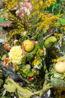 Güzel çiçek buketleri ve bitkiler