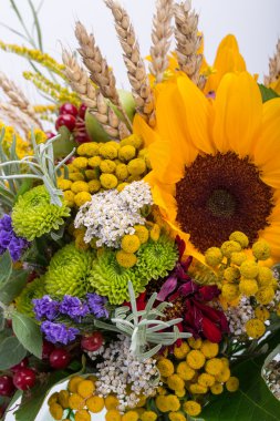 Güzel çiçek buketleri ve bitkiler