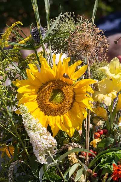 Smukke buketter af blomster og urter - Stock-foto