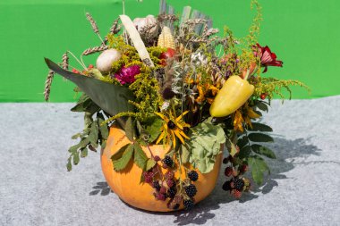 Güzel çiçek buketleri ve bitkiler